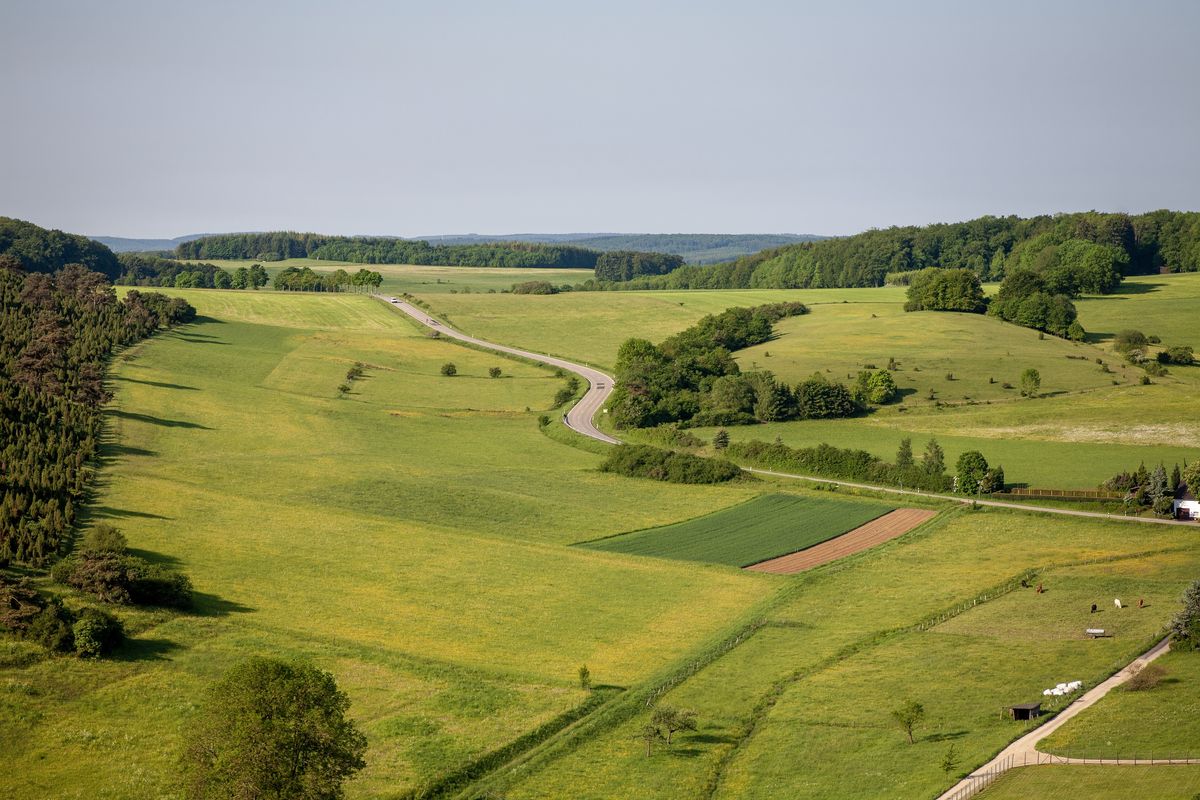 Poľnohospodárska krajina — lúky a polia v širokej doline, pás obrábanej ornej pôdy, cesta vinúca sa pomedzi polia a lesnaté svahy na horizonte.