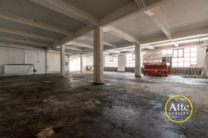 PRENAJATÉ: Multifunkčný skladový priestor 325 m² v Trnave — fotografia 3