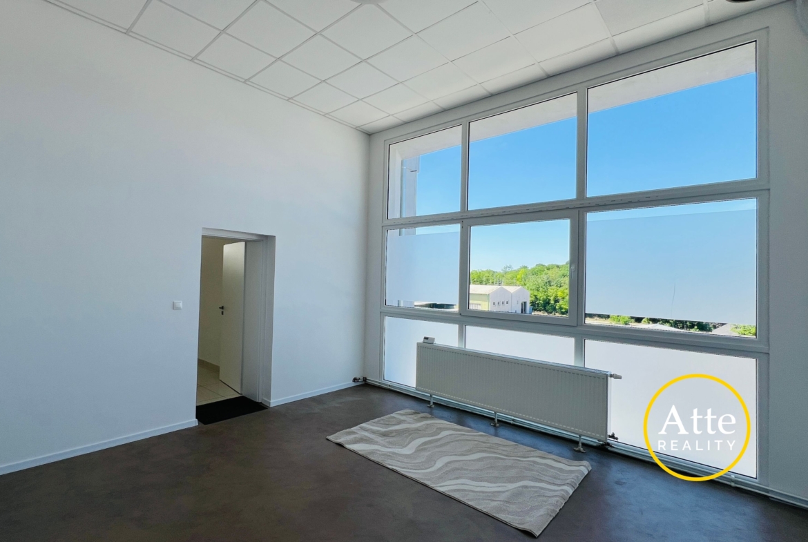 Bright empty room with tall windows letting in daylight, white walls, and a radiator along the wall.