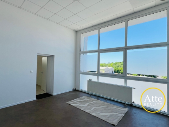 Bright empty room with tall windows letting in daylight, white walls, and a radiator along the wall.