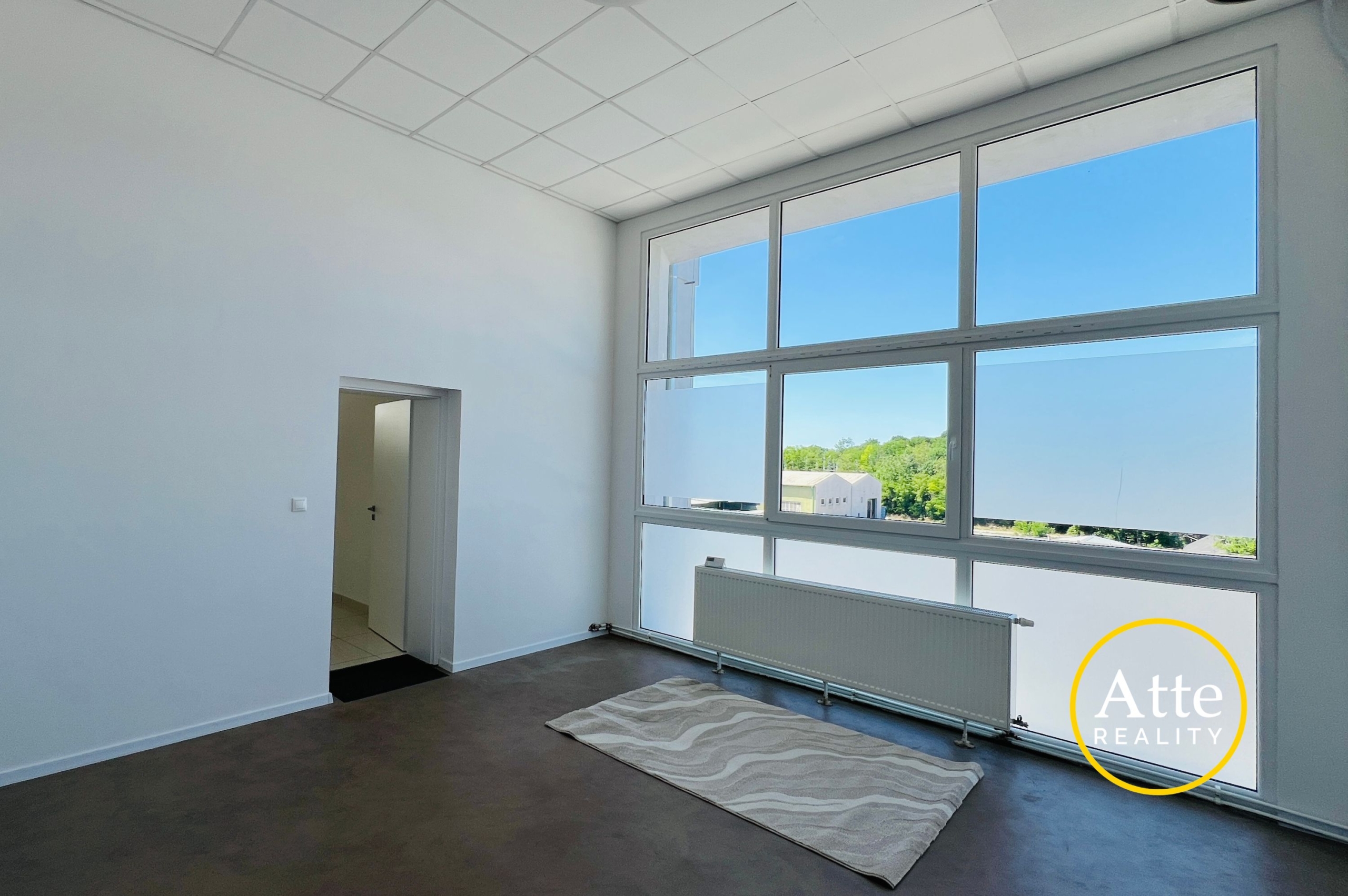 Bright empty room with tall windows letting in daylight, white walls, and a radiator along the wall.